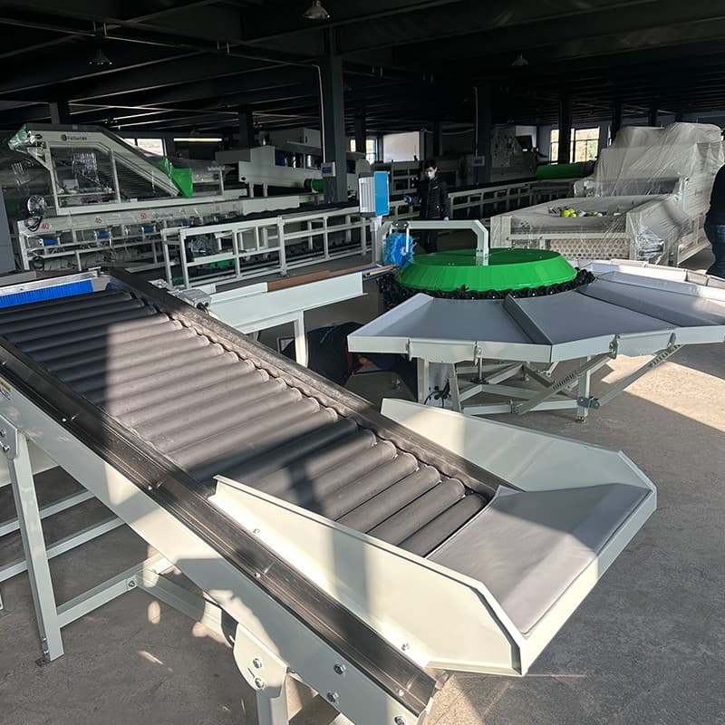 images/1703750367064fruit sorting machine.jpg